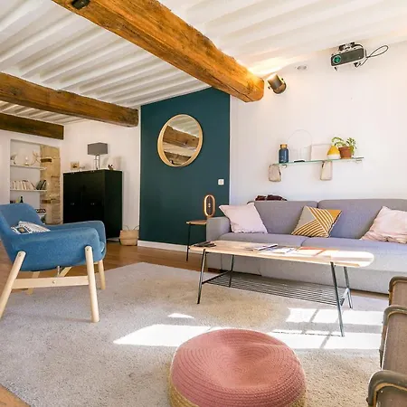 Le Rousseau Charme Et Authenticite- Srloc Apartment Dijon