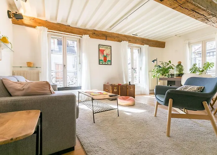 Le Rousseau Charme Et Authenticite- Srloc Apartment Dijon