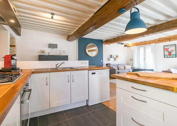 Apartment Le Rousseau Charme Et Authenticite- Srloc *